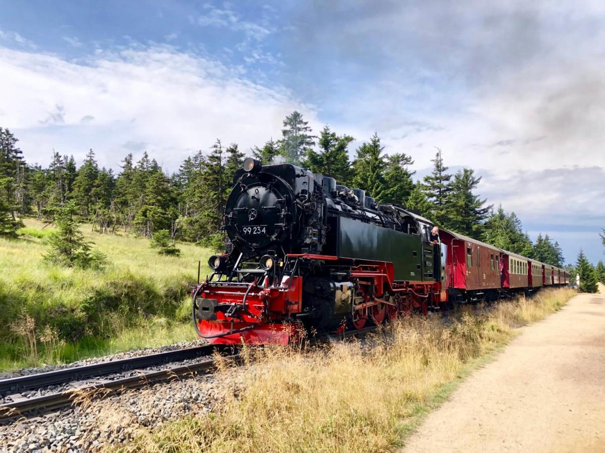 Fewo Harzgipfel Mit Dampfdusche #Innestadtnaehe#Netflix Von Harztraveler باد هازبرغ المظهر الخارجي الصورة